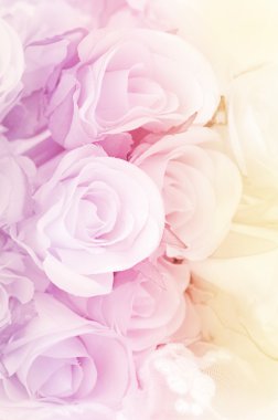 Yumuşak odak renk arka plan olarak filtre ile gül buketi.