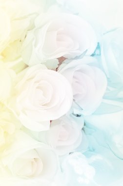 Yumuşak odak renk arka plan olarak filtre ile gül buketi.