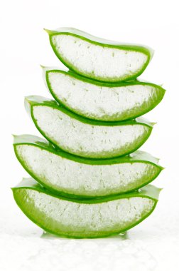 Aloe Vera beyaz arka plan üzerinde dilim.