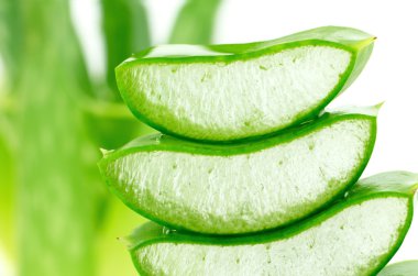 Dilim Aloe Vera kapalı-up.