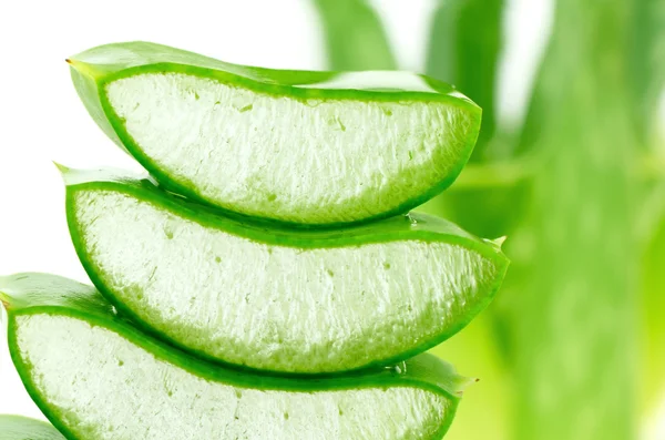 Dilim Aloe Vera kapalı-up.