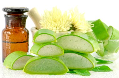 Aloe vera saç ve yüz tedavi maskesi malzemeler hamur.