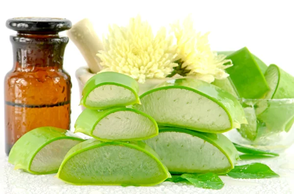 Aloe vera cabelo e tratamento facial colar máscara ingredientes . — Fotografia de Stock