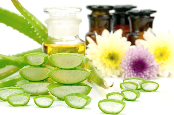 Aloe vera cabelo e ingredientes de tratamento facial . — Fotografia de Stock