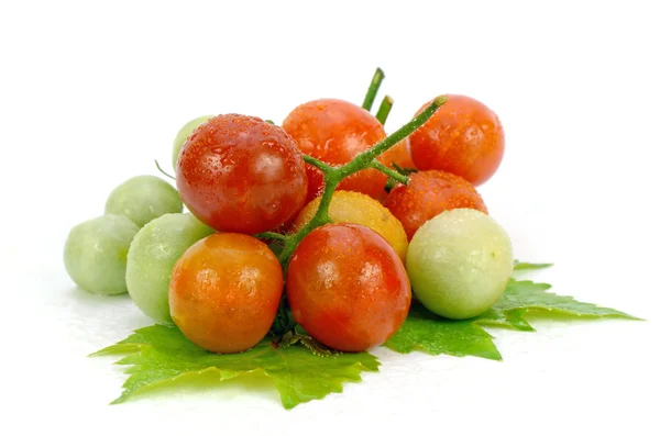 Tomates frescos sobre fondo blanco. — Foto de Stock