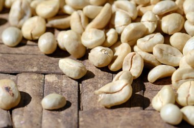 Kurutma parşömen kahve güneş.