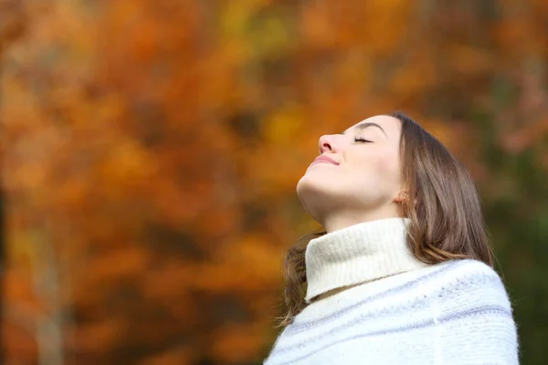 Donna Rilassata Che Respira Aria Fresca Autunno Bellissimo Parco Foresta — Foto Stock