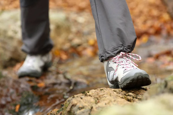 Zbliżenie Nóg Trekkera Butach Trekkingowych Przechodzących Jesienią Przez Potok Lesie — Zdjęcie stockowe