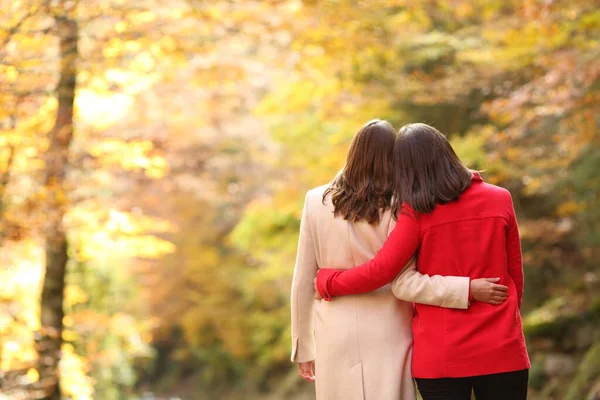 Porträt Eines Glücklichen Paares Lesbischer Frauen Die Verliebt Herbst Einem — Stockfoto