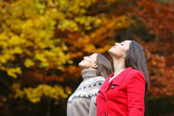 Perfil Duas Mulheres Respirando Fresco Outono Uma Bela Floresta — Fotografia de Stock