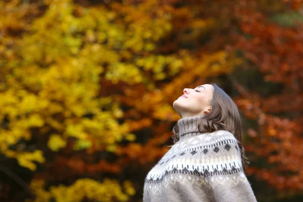 Relaxed Woman Breaths Fresh Air Autumn Season Beautiful Forest — Stock Photo, Image
