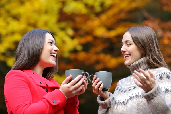 Mutlu Arkadaşlar Kışın Parkta Kahve Fincanlarıyla Konuşuyor — Stok fotoğraf