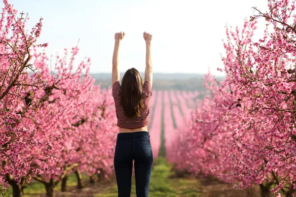 ピンクの花畑で腕を上げて春を祝う興奮した女性のバックビュー — ストック写真