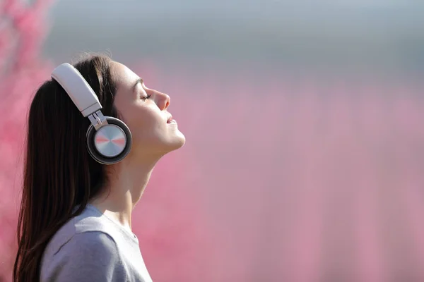 一个女人在粉色区域的无线耳机上冥想听音频的照片 — 图库照片