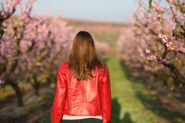 バックビュー春にはフィールド間を歩く赤で女性の肖像画 — ストック写真