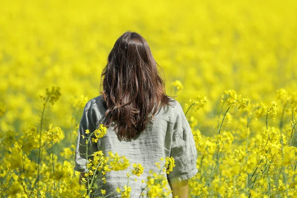 Vista Trasera Una Mujer Caminando Campo Flores Amarillas Temporada Primavera —  Fotos de Stock