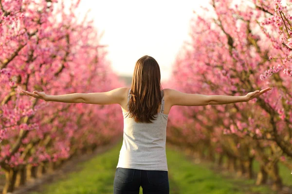 Back view portrait of a young lady stretching arms celebrating spring in a pink field