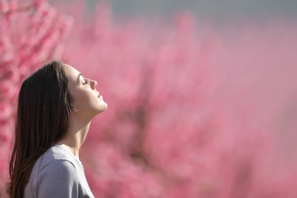 Profile Relaxed Woman Breathing Fresh Air Pink Field Peach Trees — Stock Photo, Image