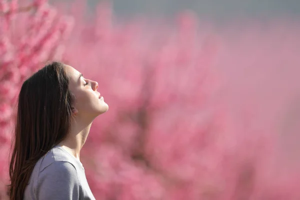 Profile Relaxed Woman Breathing Fresh Air Pink Field Peach Trees Stock Photo