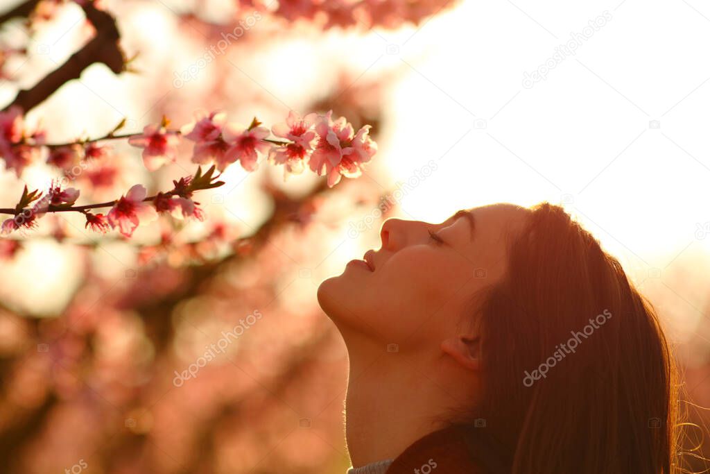 Side view portrait of a woman silhouette smelling flowers at sunset in a flowered field