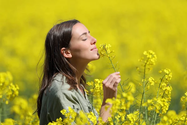 Profil Une Femme Sentant Les Fleurs Dans Champ Jaune — Photo