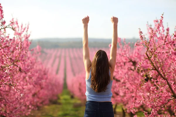 Vista Posterior Retrato Una Mujer Feliz Levantando Brazos Campo Flores —  Fotos de Stock