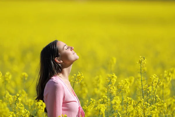 Perfil Una Mujer Relajada Respirando Aire Profundamente Fresco Campo Amarillo — Foto de Stock