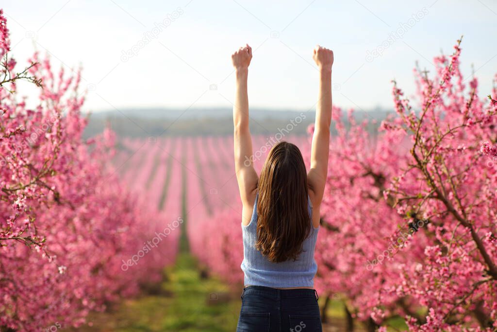 Back view portrait of a happy woman raising arms in a pink flowered field in spring season