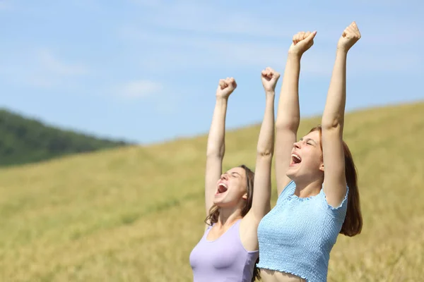 Aufgeregte Freunde Heben Die Arme Und Feiern Urlaub Weizenfeld — Stockfoto