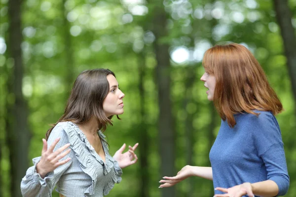 Дві Розлючені Жінки Сперечаються Лісі — стокове фото
