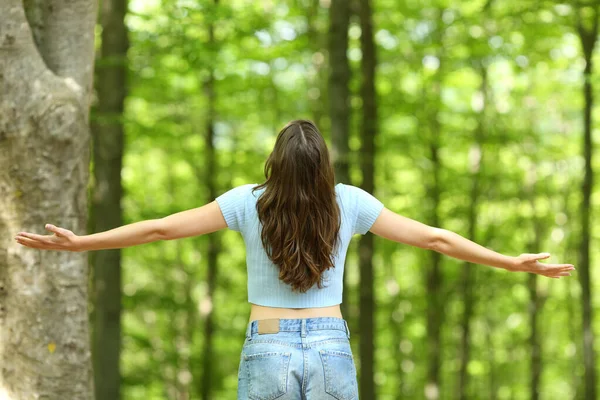 Vue Arrière Une Femme Heureuse Étendant Les Bras Dans Une — Photo