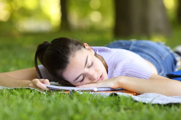 Tired Student Sleeping Notebook Park Campus — Stock Photo, Image