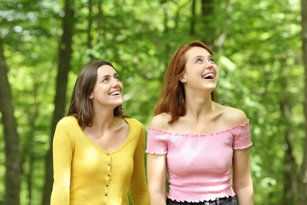 Zwei Verblüffte Freunde Beim Sommerlichen Waldspaziergang — Stockfoto