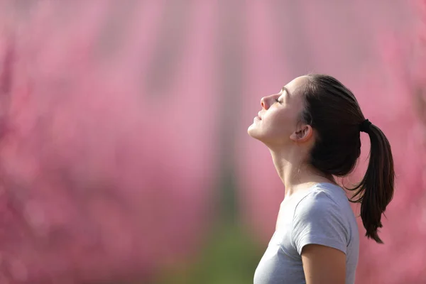 Portrait Latéral Une Coureuse Respirant Air Frais Dans Champ Rose — Photo