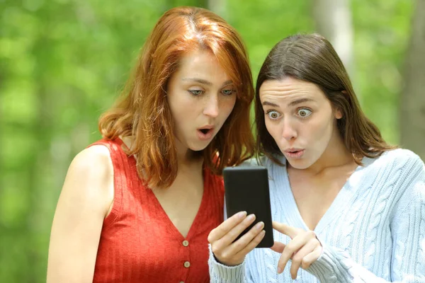 Twee Verblufte Vrouwen Vrienden Controleren Verrassende Smart Phone Content Een — Stockfoto