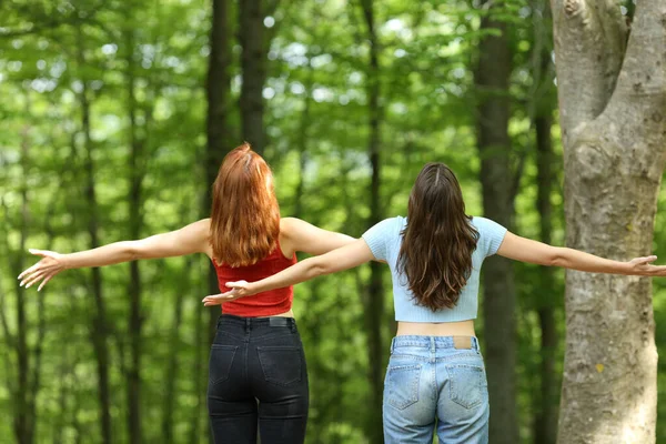 Vista Trasera Dos Mujeres Extendiendo Los Brazos Bosque Las Vacaciones —  Fotos de Stock