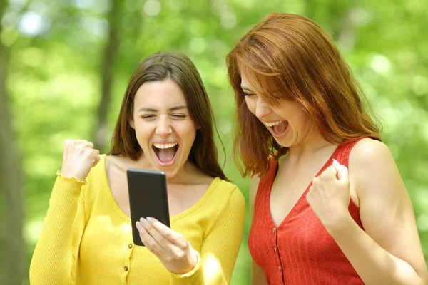 Twee Opgewonden Vrouwen Die Smart Phone Content Controleren Een Groen — Stockfoto