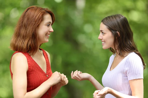 Zwei Glückliche Freunde Die Sich Einem Grünen Park Unterhalten — Stockfoto