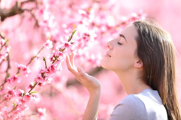 ピンクの畑で花を嗅ぐ女性のプロフィール晴れた日 — ストック写真