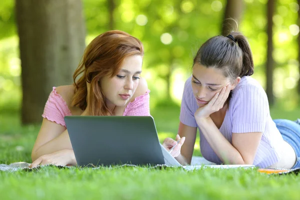 Dois Estudantes Concentrados Learning Com Laptop Notas Deitadas Grama Campus — Fotografia de Stock