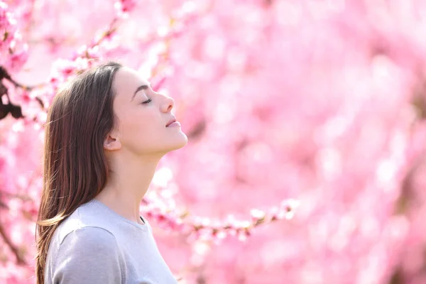 Portrait Une Femme Respirant Sentant Les Fleurs Parfumées Dans Champ — Photo