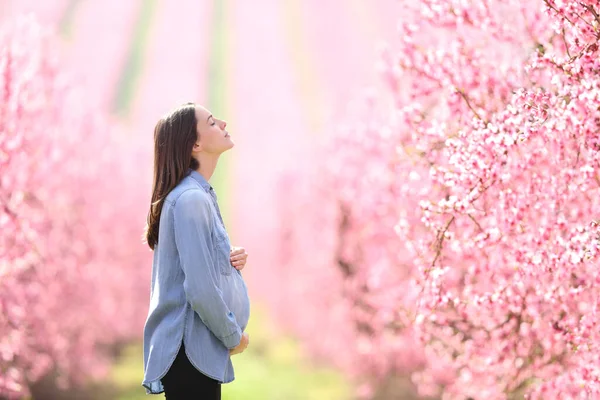 Profil Une Femme Enceinte Détendue Respirant Air Frais Dans Champ — Photo