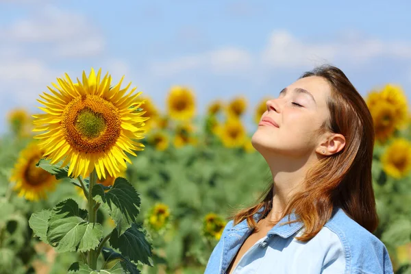 Lycklig Kvinna Andas Frisk Luft Solrosor Fält Solig Dag — Stockfoto