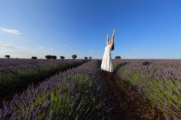 Aufgeregte Frau Weißem Kleid Hebt Die Arme Einem Lavendelfeld — Stockfoto