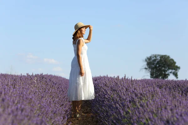 Ganzkörperporträt Einer Frau Die Ansichten Lavendelfeld Betrachtet — Stockfoto