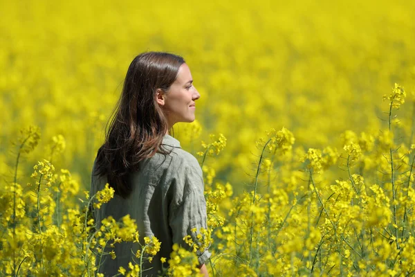 Mujer Feliz Contemplando Vistas Campo Amarillo Día Soleado —  Fotos de Stock
