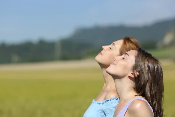 Retrato Dos Mujeres Respirando Aire Fresco Campo Trigo — Foto de Stock