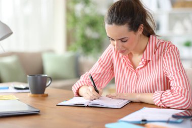 Satisfied self employed writing in paper agenda working at home