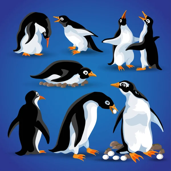 Pinguins engraçados em diferentes poses de ação. Mascotes de desenhos animados isolar. Pinguim personagem pássaro animal, pinguim feliz, família com ovos, ninho de pinguim, emoções. Ilustração vetorial — Vetor de Stock