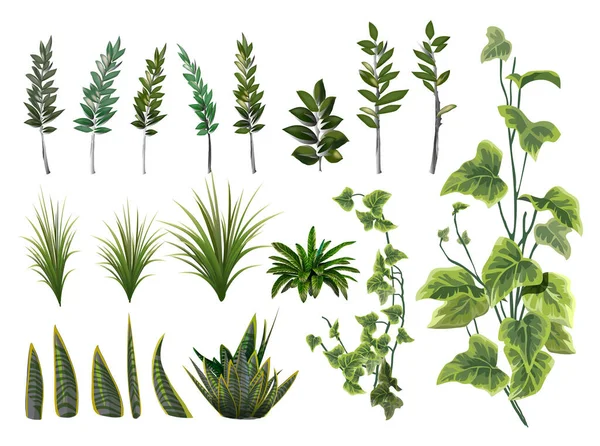 Florales Grün mit Eukalyptuszweigen und Kräutern auf weißem Hintergrund. Botanische Sammlung. Vektorillustration — Stockvektor